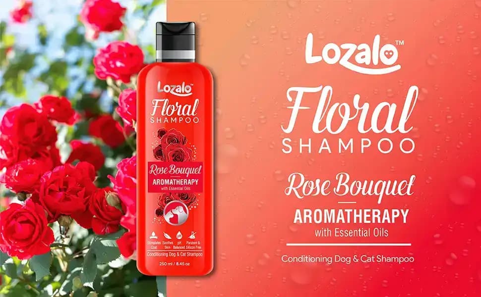Lozalo Floral Rose Bouquel Shampoo 