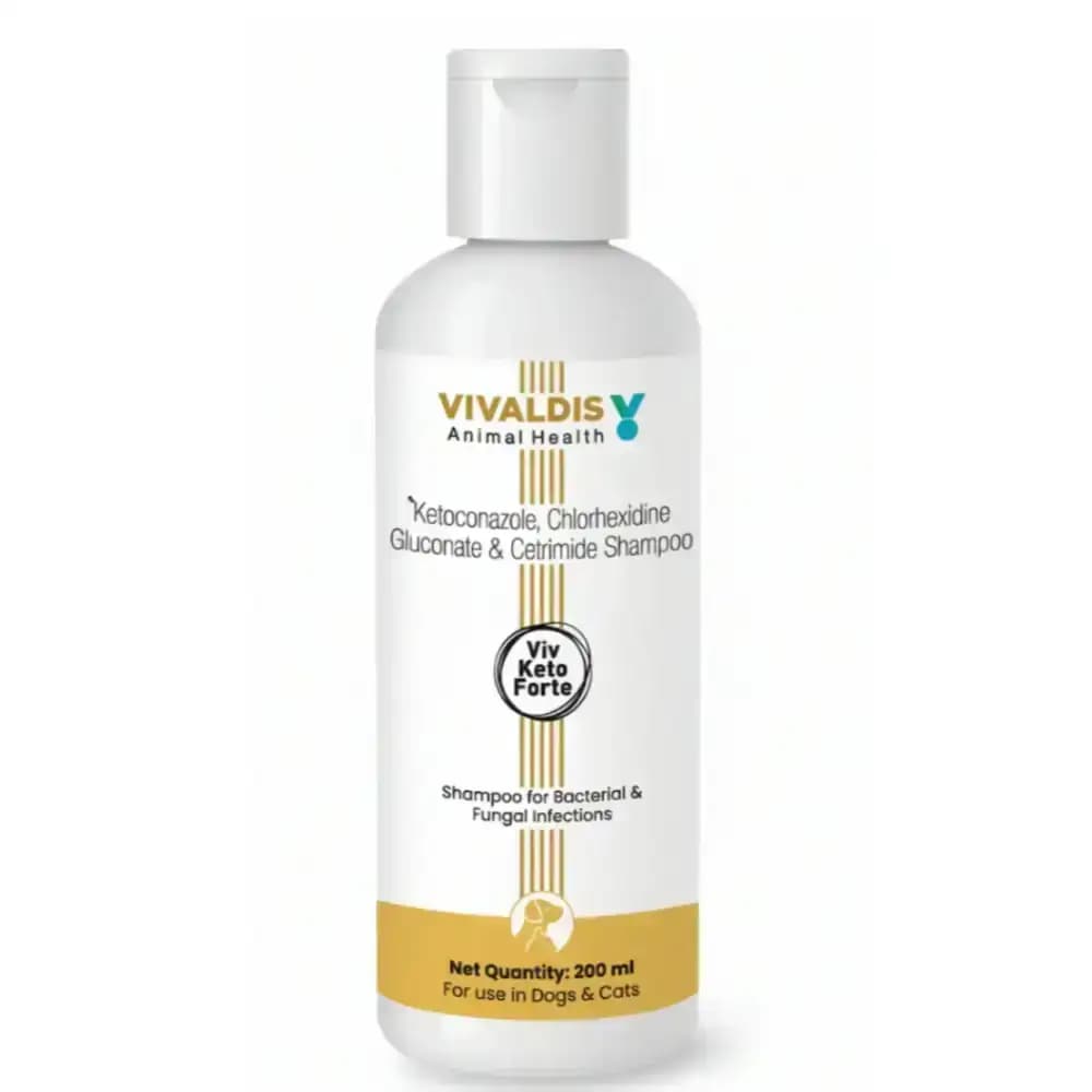 Viv Keto Shampoo 