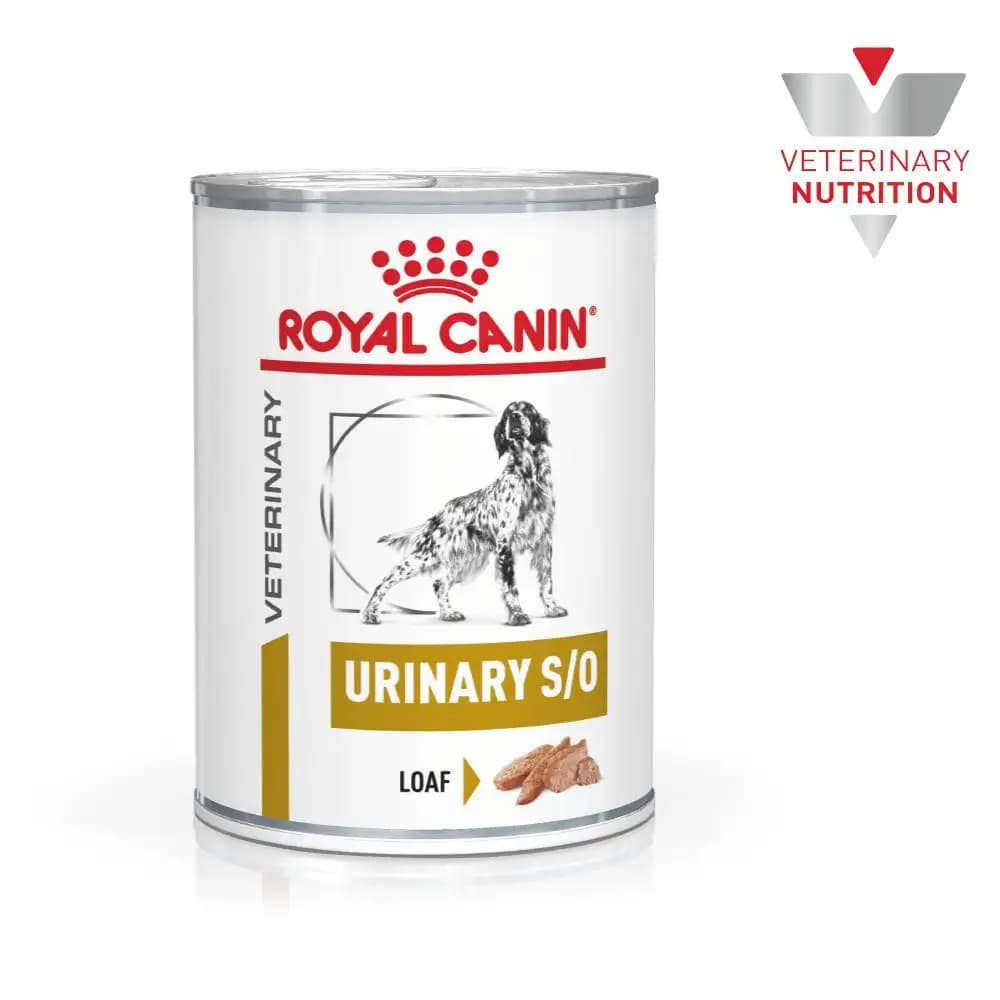 Royal Canin Urinary Can Wet Dog  Food