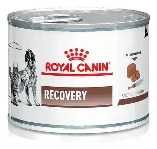 Royal Canin Recovery Can Wet Dog Food