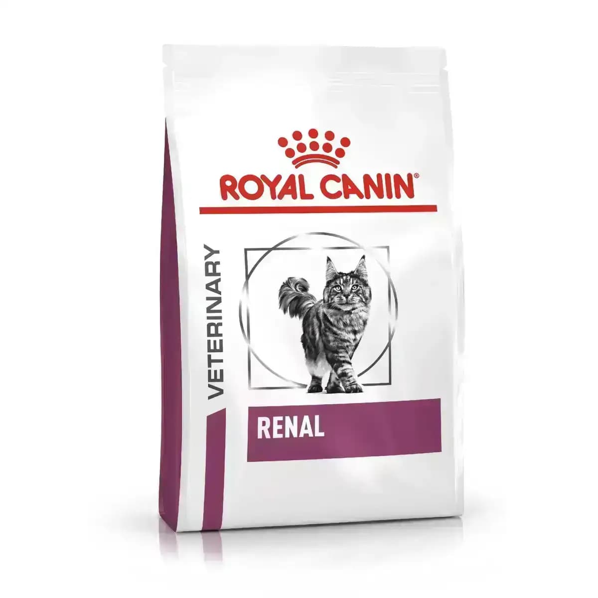 Royal Canin Renal Cat Dry Food – Buy Royal Canin online India at Dr. Venky's Pet Store